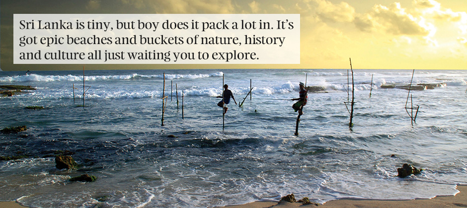 8 reasons why Sri Lanka should be your next holiday